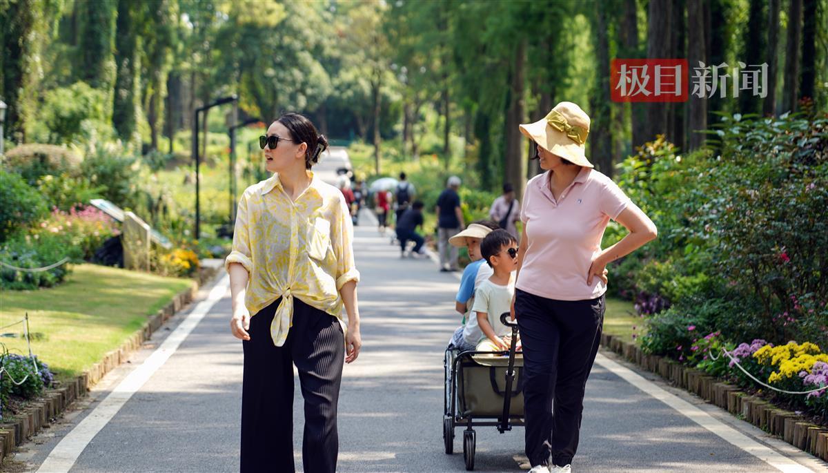 云顶夺宝入口